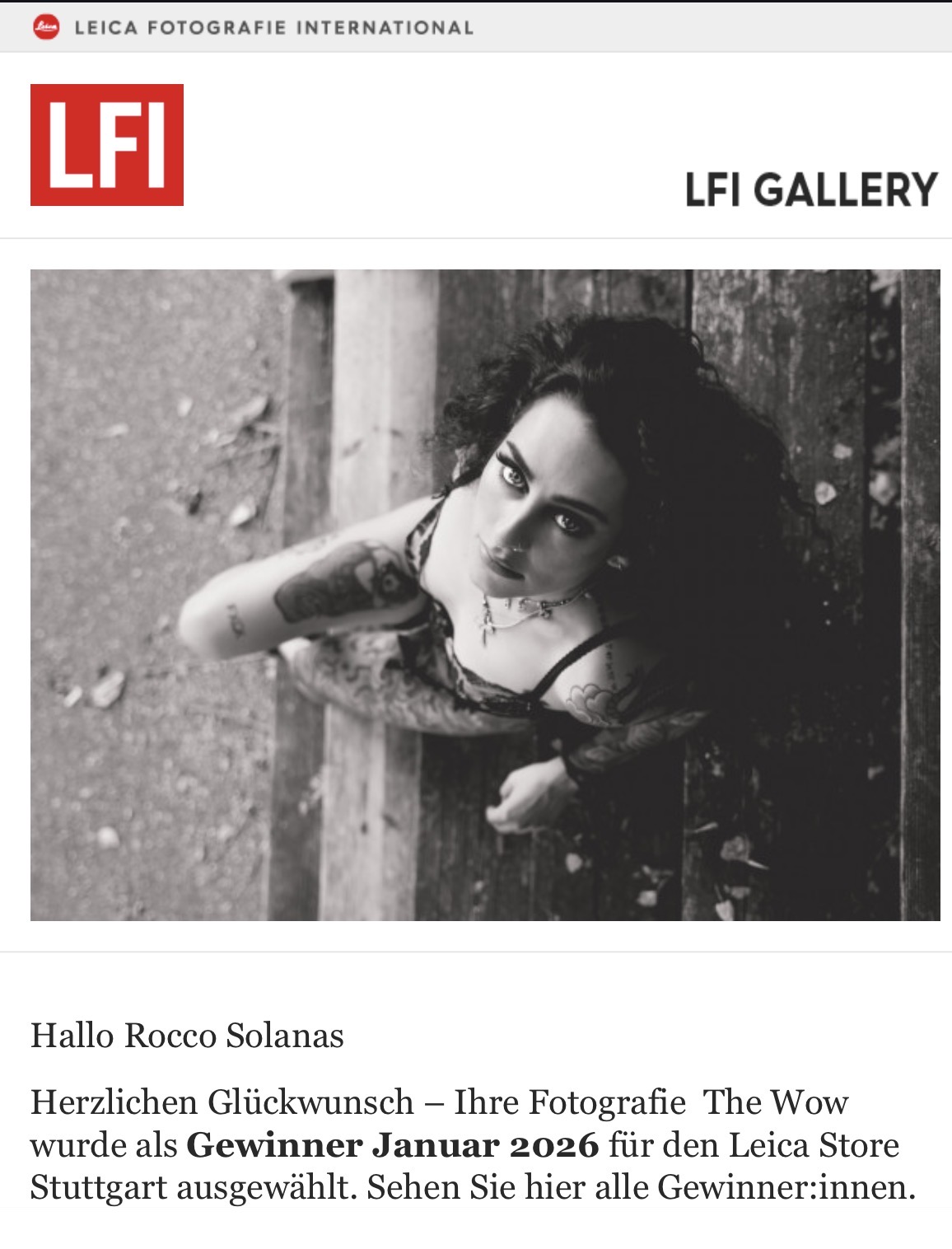 LFI GALLERY 12/2025